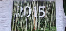 Jahreskalender Blick ins 2015 von Oliver Schär
