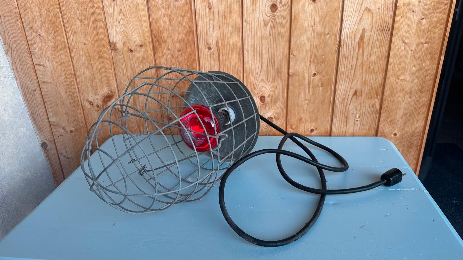 Lampen: Infrarotlampe mit Retro Schutzkorb – Gebraucht aus Krauchthal von SamsPuce 7