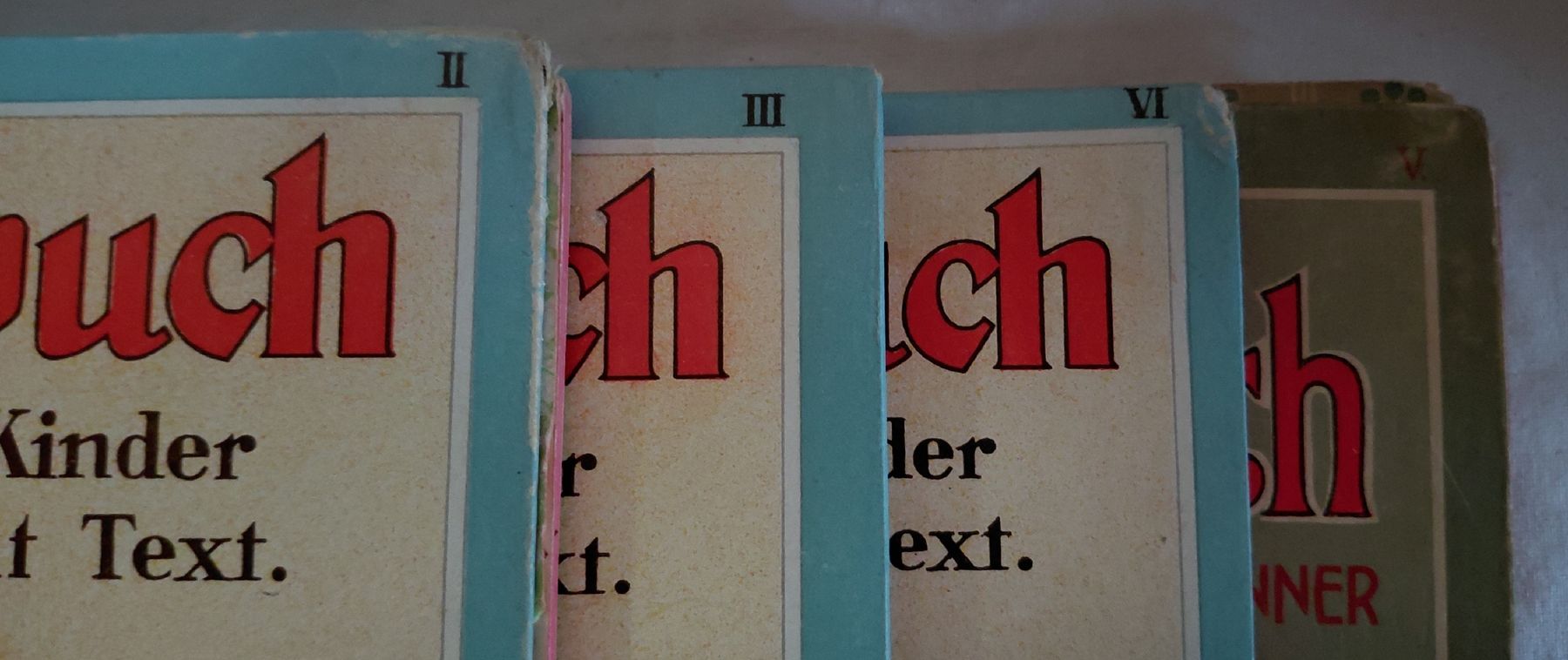 Libri: 4 Bände J. Staubs Bilderbücher – Usato da Trogen venduto da Limboo 4