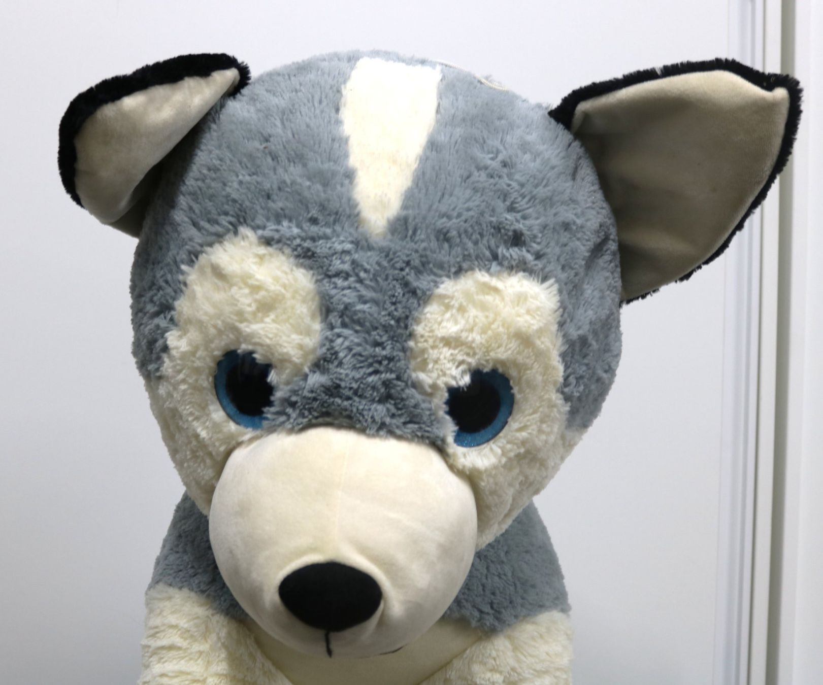 Jouets: Grosser Plüsch-Husky – D'occasion à Volketswil par brockipfannenstil 4