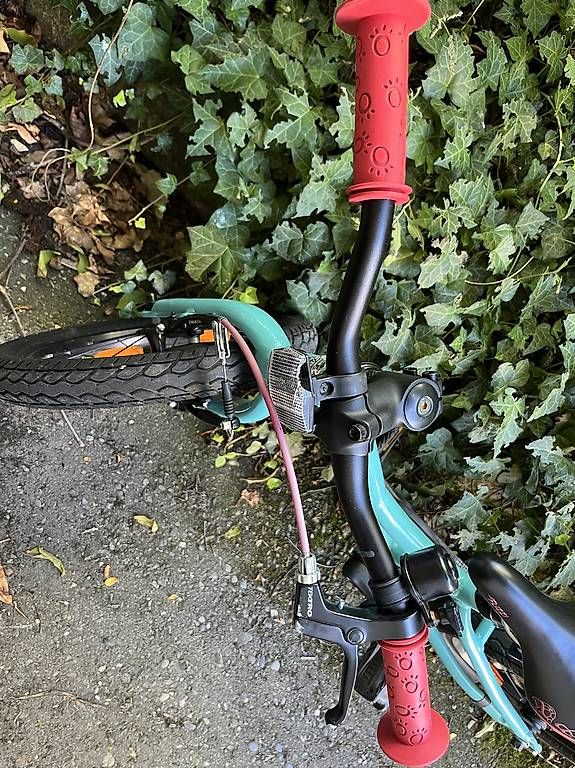 Flizzi Biciclette: Kindervelo Flizzi 16 Zoll – Usato da Uetikon am See venduto da gas_5pds 4