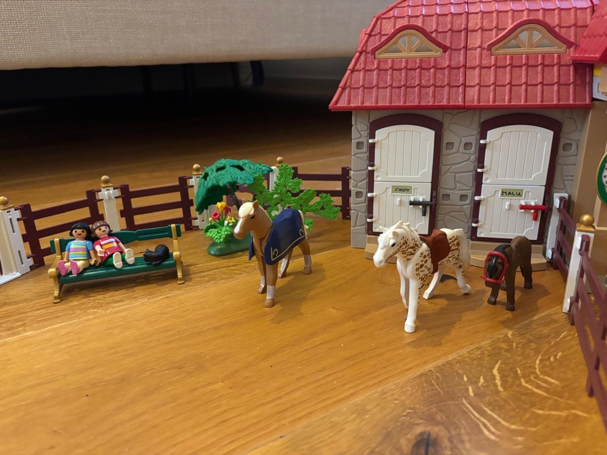 Playmobil Giocattoli: Playmobil Reiterhof – Usato da Bubikon venduto da petraruoss 8