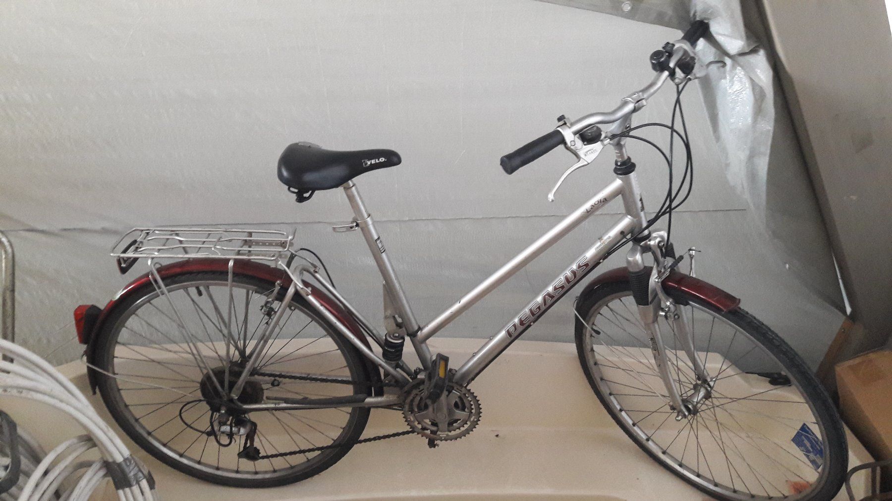 Biciclette: Velo Pegasus – Usato da Laufen venduto da Mann455