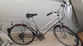 Velo Pegasus