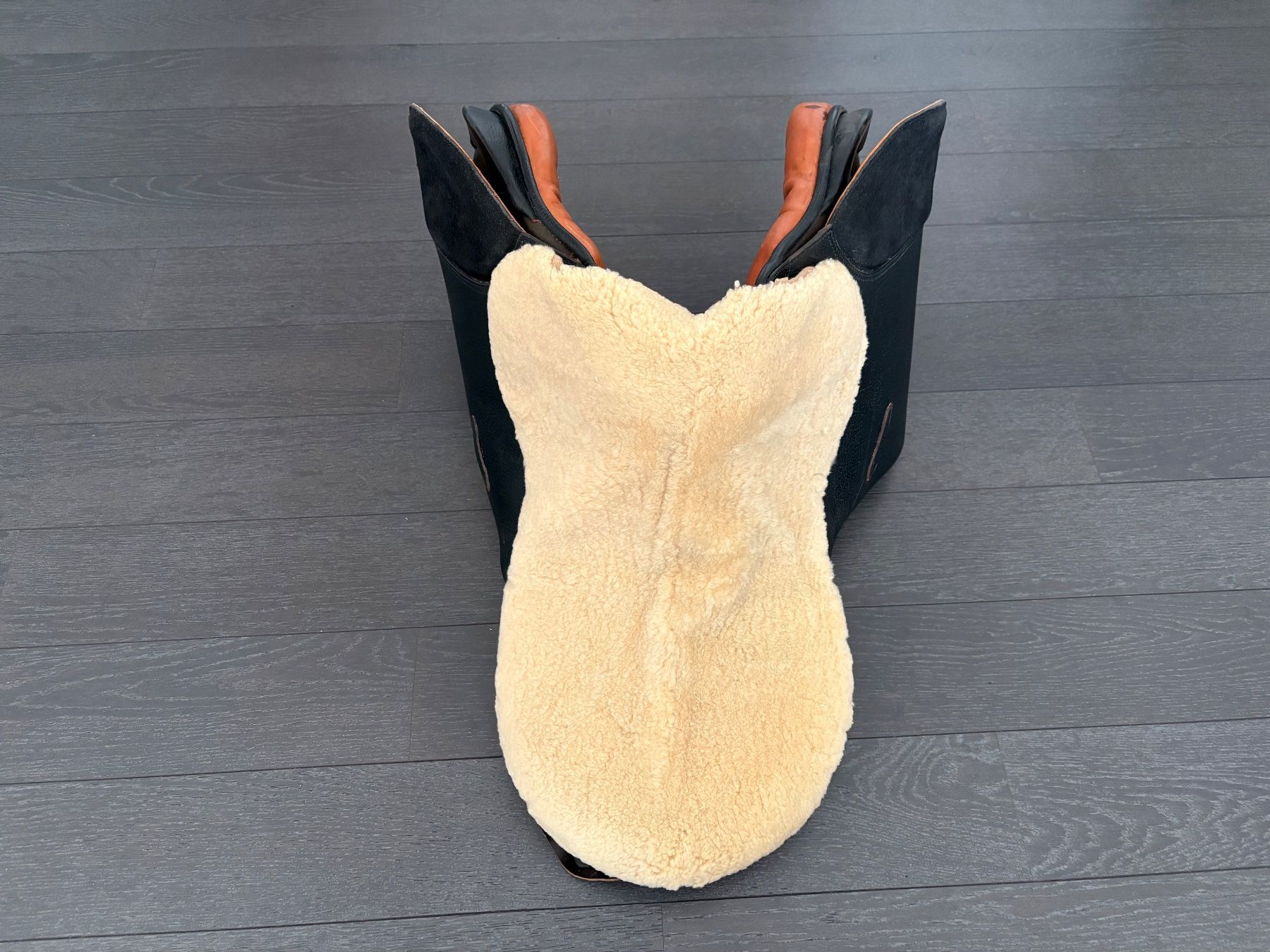 Selle & Accessori: Selle d’équitation usage mixte Pandur-S – Usato da Grand-Lancy venduto da lau_l7wv 6