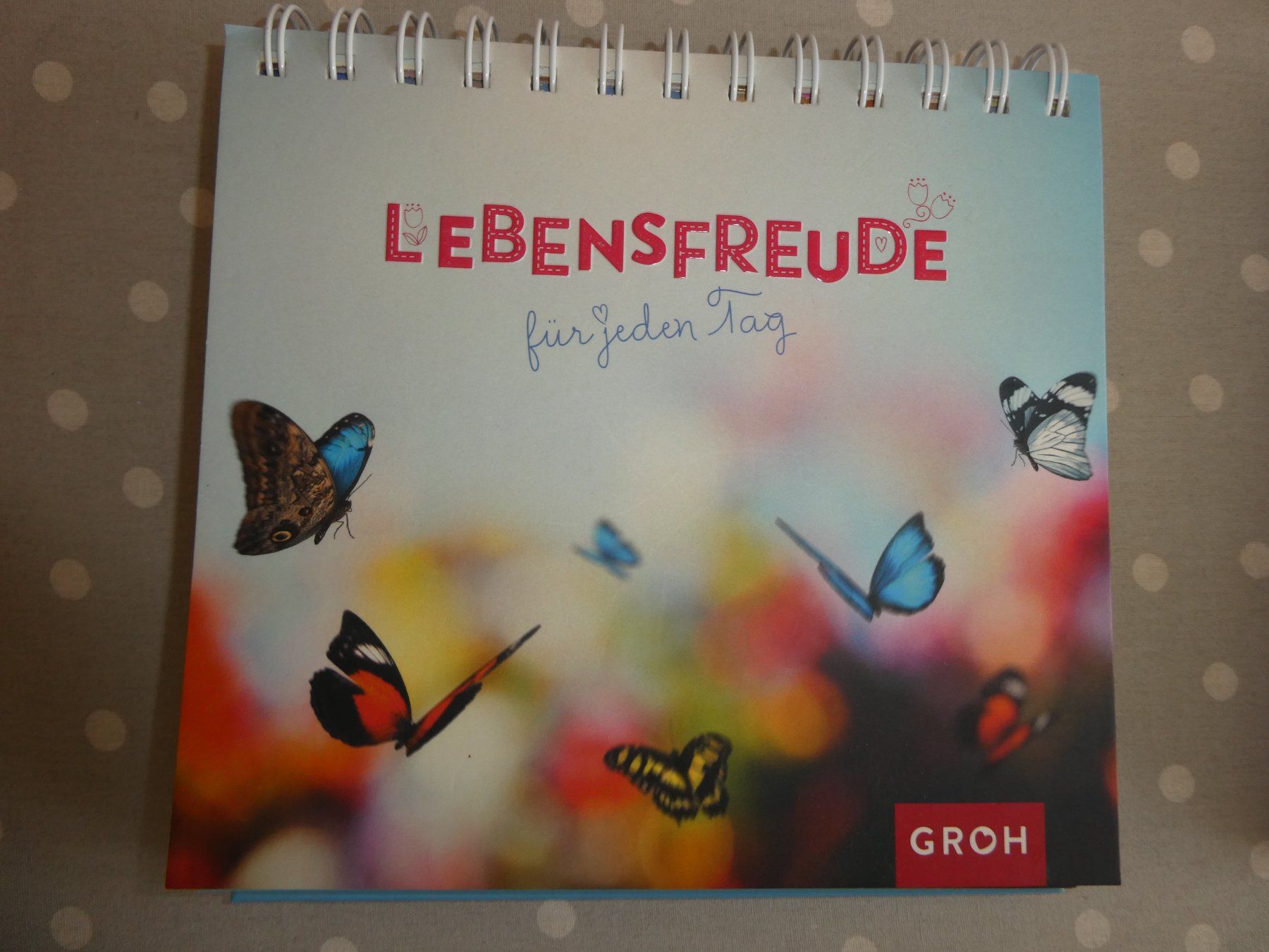 Calendari: Tischkalender "Lebensfreude" mit Sprüchen – Nuovo (secondo la descrizione) da Mels venduto da KOSL 1