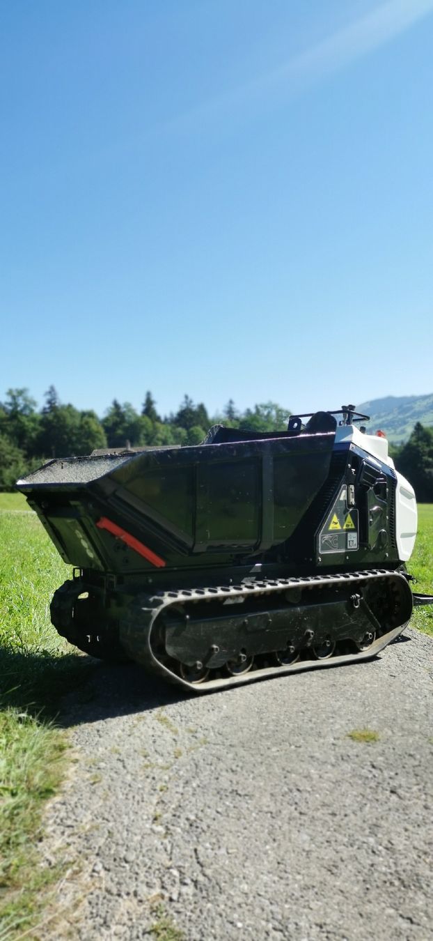 Tutte le macchine: Raupendumper Cormidi C1400 mieten – Usato da Frutigen venduto da cmaster02 1