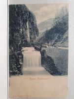 RAGAZ  -  Taminafall