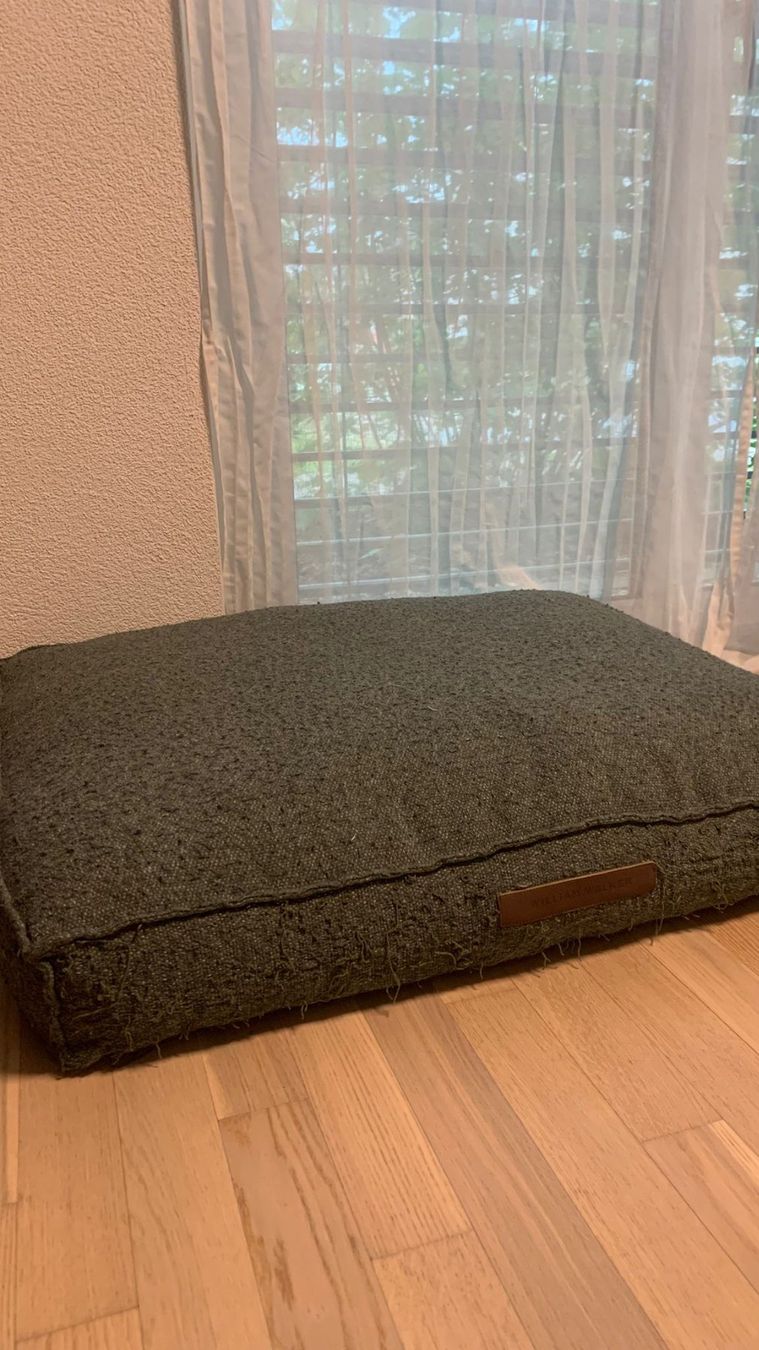 Cucce & Letti: Hundekissen – Usato da Däniken SO venduto da SpeedHunter 1
