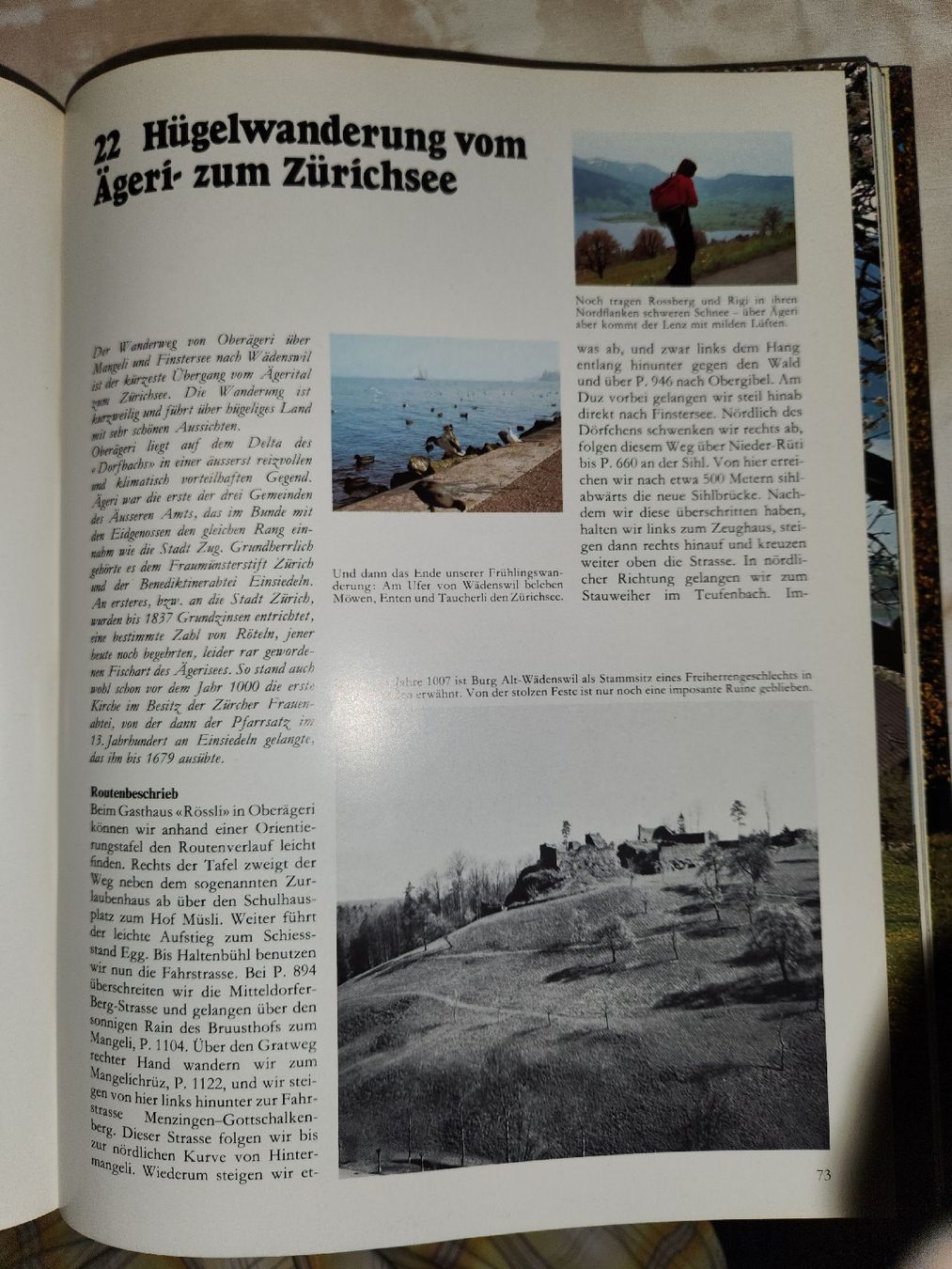 Libri: Die 50 Schönsten Wanderungen durch die Schweiz – Usato da Herisau venduto da bin_da 6