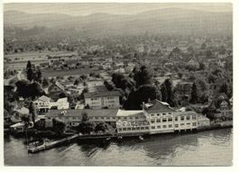 HORN Flugaufnahme - Hotel Bad Horn am Bodensee
