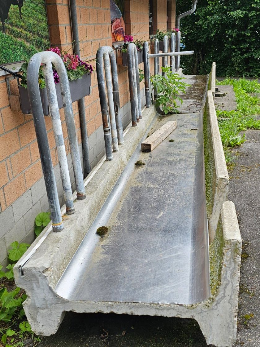 Mangimi: Futtertisch aus Rinderstall – Usato da Bolligen venduto da tfs