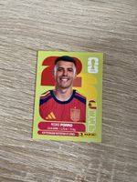 Panini ESP 6