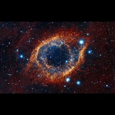 Profile image of orbitorion