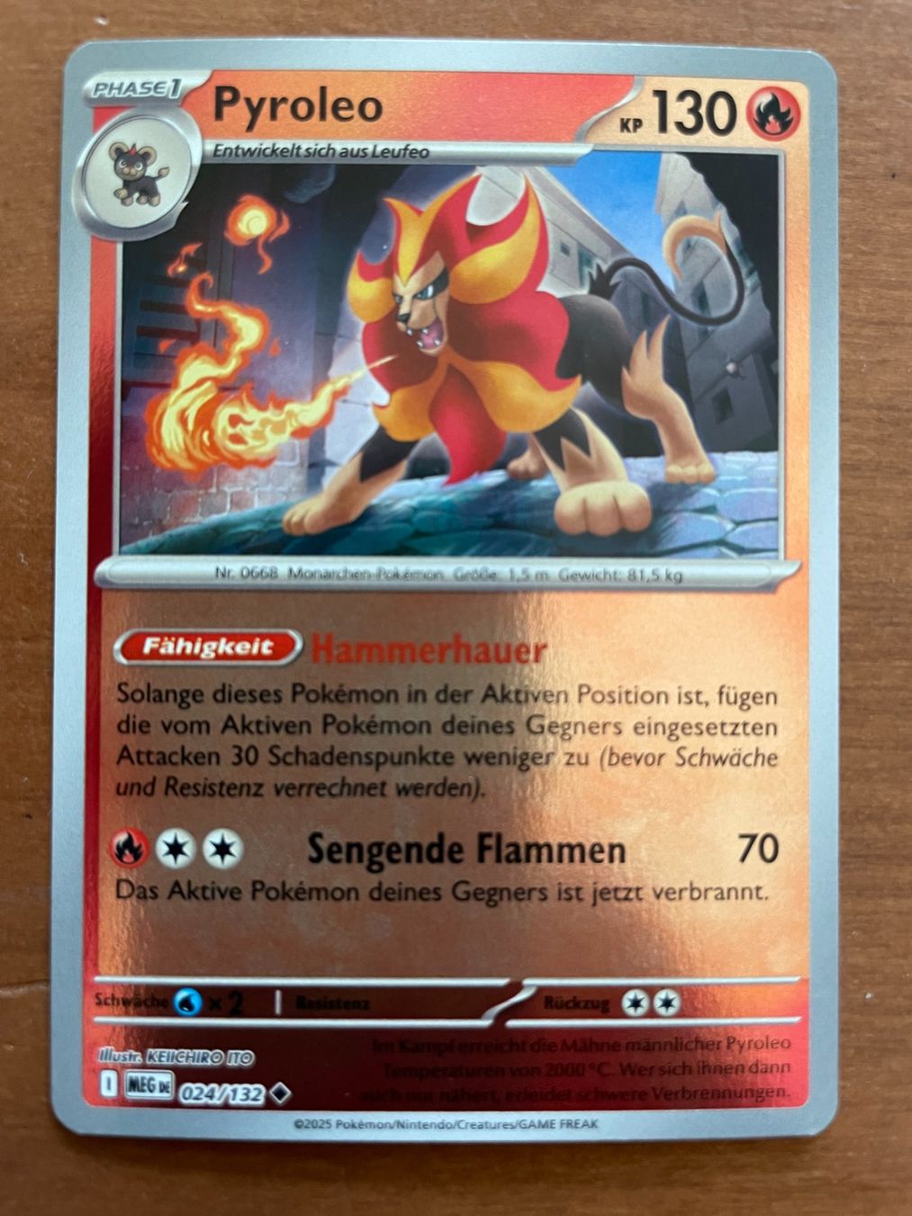 Pokémon Carte collezionabili: Pokemon Pyroleo Reverse (Versand gratis) – Nuovo (secondo la descrizione) da Chur venduto da Angerson