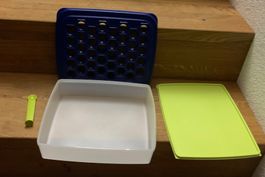 Tupperware  Happy Snack inkl. Gefrierbechälter