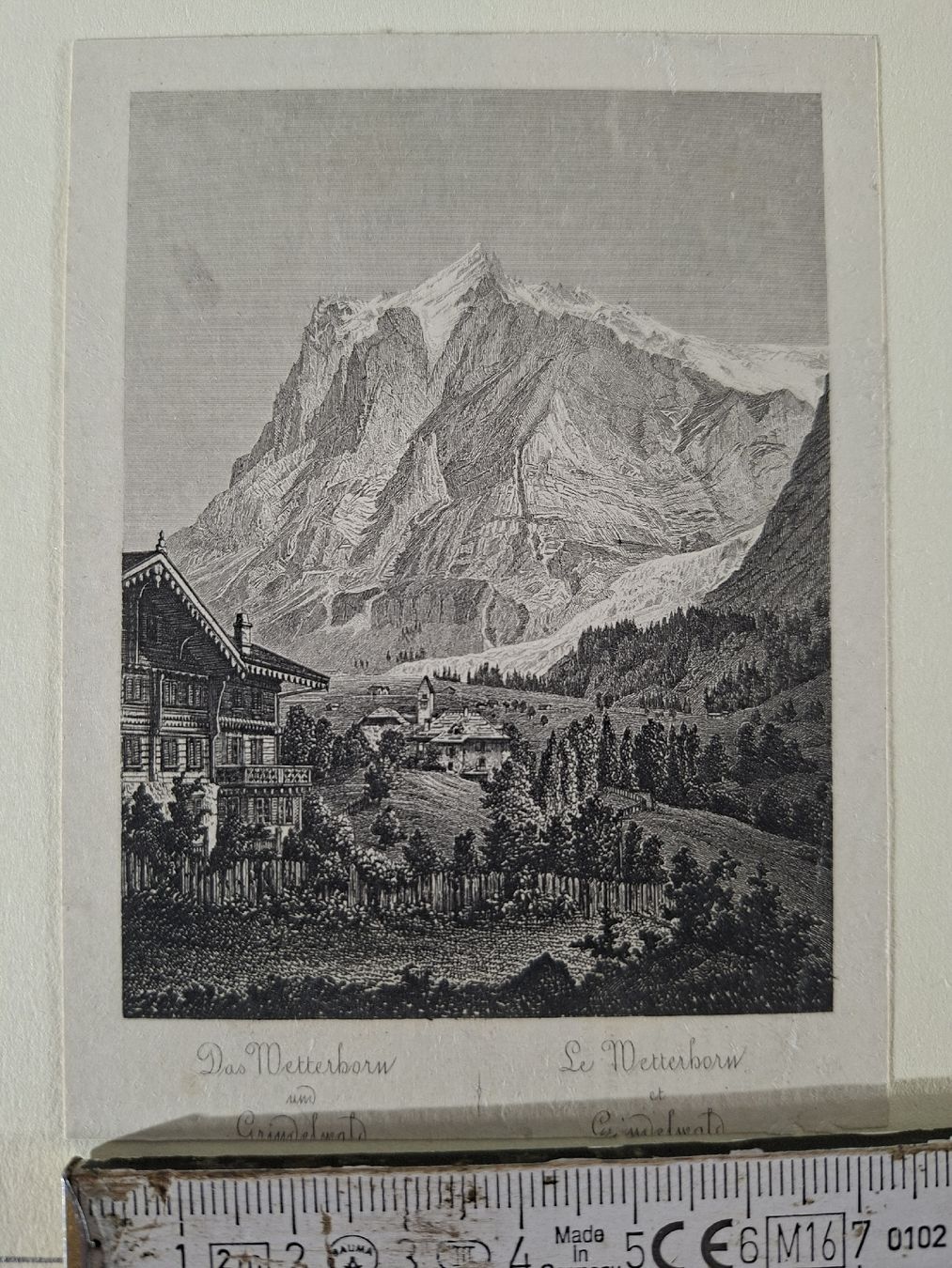 Incisioni: Lot  72 , 10 Stiche  – Usato da Grindelwald venduto da carro5 6