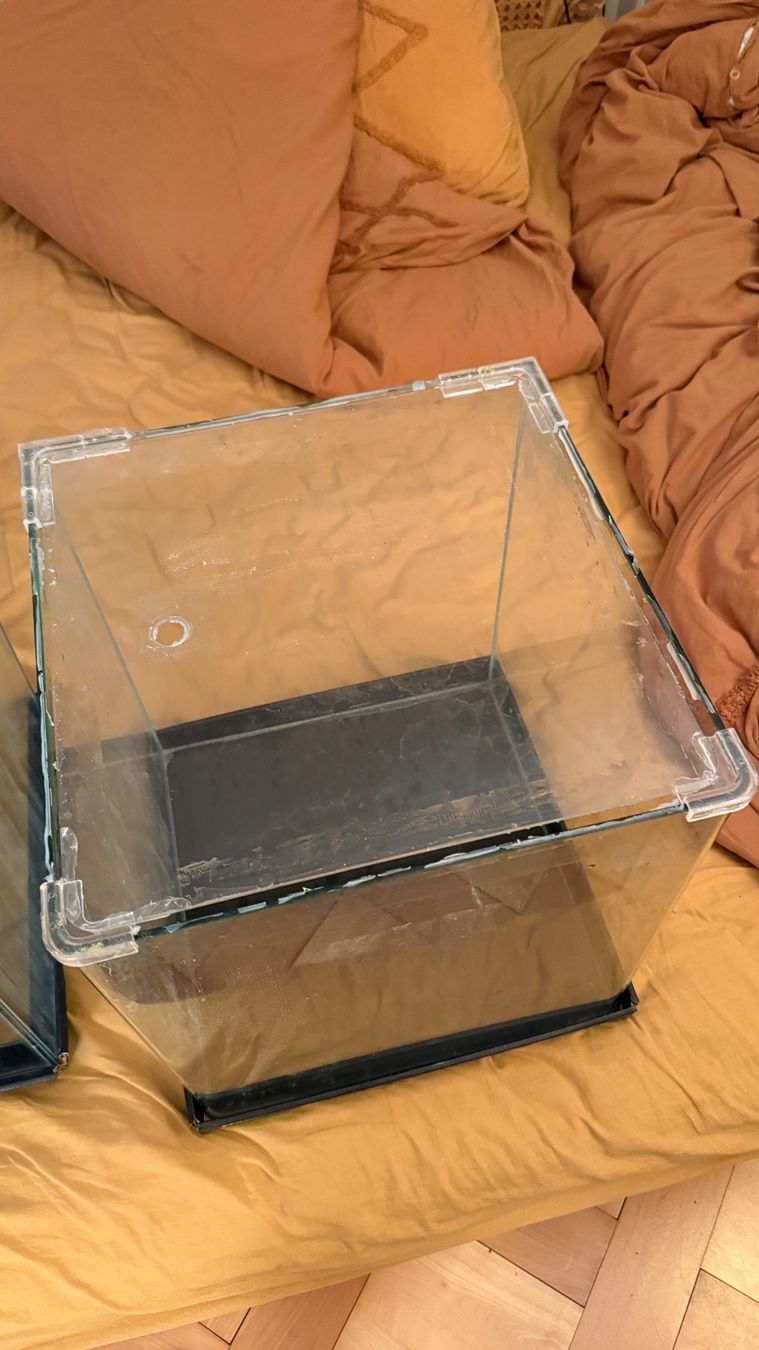 Acquari: 60 Liter Aquarium Dennerle Nano Cube – Nuovo (secondo la descrizione) da Zürich venduto da NorinaAurora 6