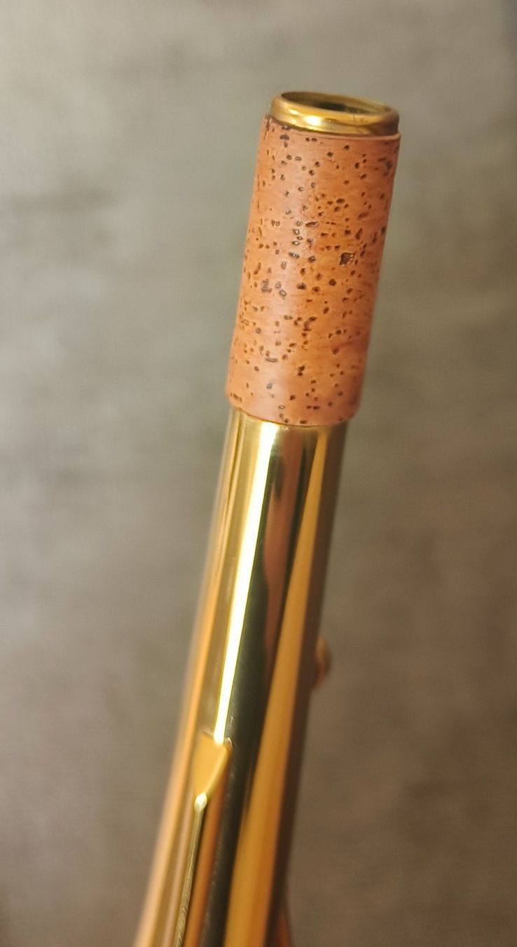 Selmer Strumenti musicali: Selmer Reference 54 alto saxophone – Nuovo (secondo la descrizione) da Fribourg venduto da lau_qwl5 4