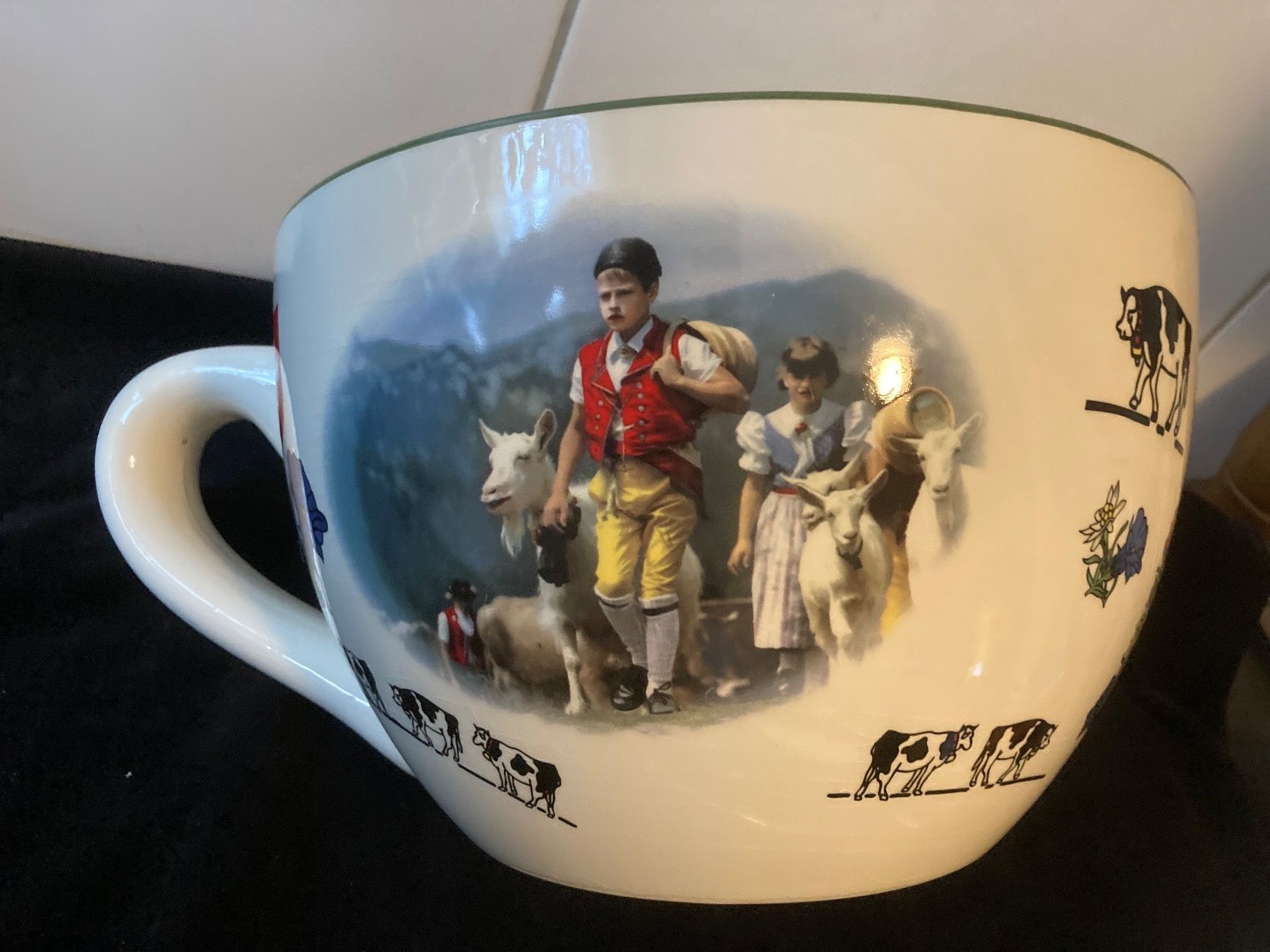 Blumentöpfe: Sehr grosse Schweizer-Tasse als Übertopf – Defekt aus Zürich von Chaeffeler 1