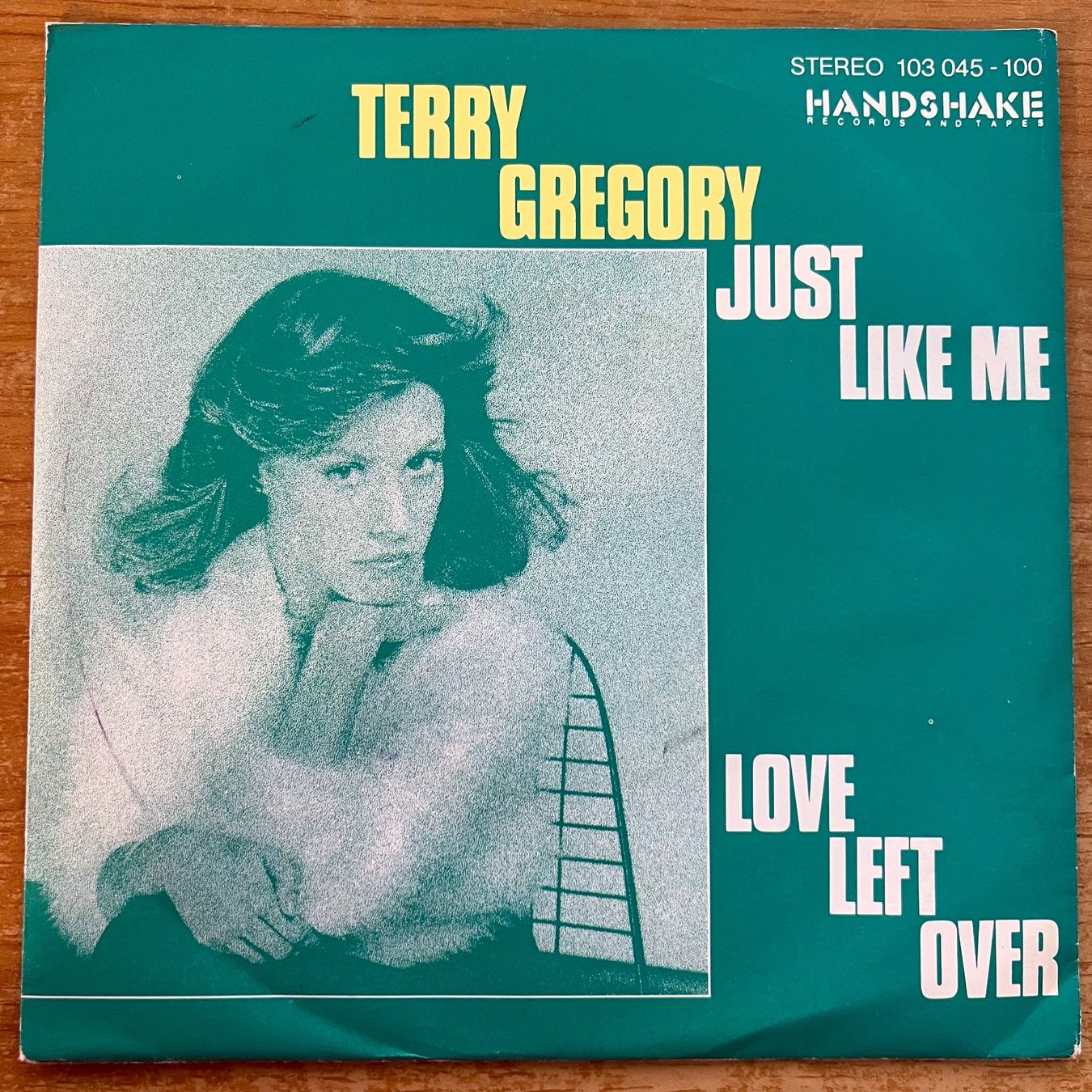 Dischi in vinile: Terry Gregory - Just Like Me / 1. D-Press. 1981 – Usato da Gais venduto da soundcave57
