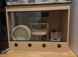 Terrarium für Kleintiere