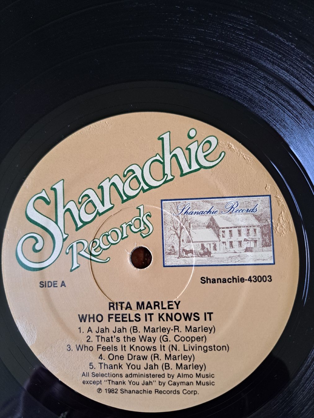 Dischi in vinile: Rita Marley Who Feels It Knows It, LP Reggae 1982 – Usato da Zuerich venduto da Mocambo19 4