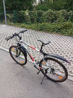 Mountain Bike California 26"  Ottime condizioni