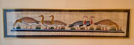Papyrus "Gänse von Meidum" 165 cm lang, schön gerahmt