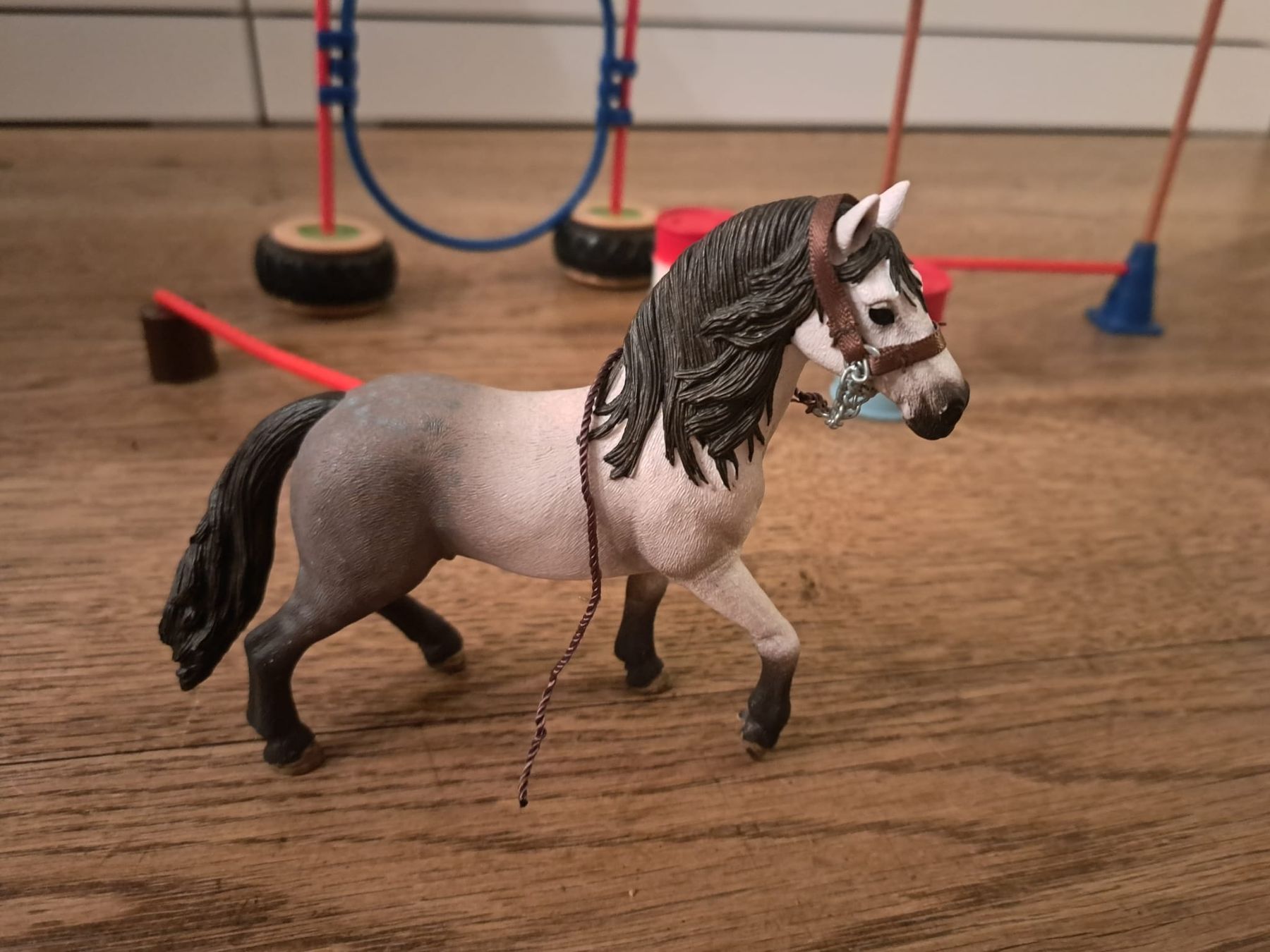 Schleich Statuette: Schleich, Geschicklichkeitsparcours mit Pferd – Nuovo (secondo la descrizione) da Madetswil venduto da aur_8xwh 1