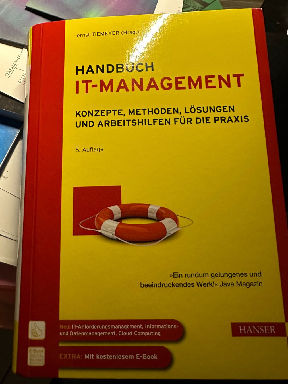 Livres: Handbuch IT-Management – D'occasion à Schneisingen par Tomthedragon