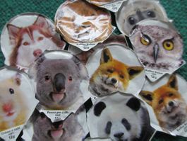 viele Tierli Kaffeerahmdeckeli Sammlung