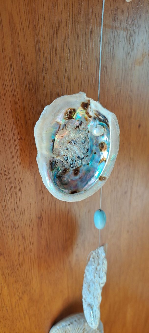 Tutte le decorazioni: Schöne Girlande / Mobile aus Muscheln – Usato da Niederönz venduto da Chraemerliguet 1