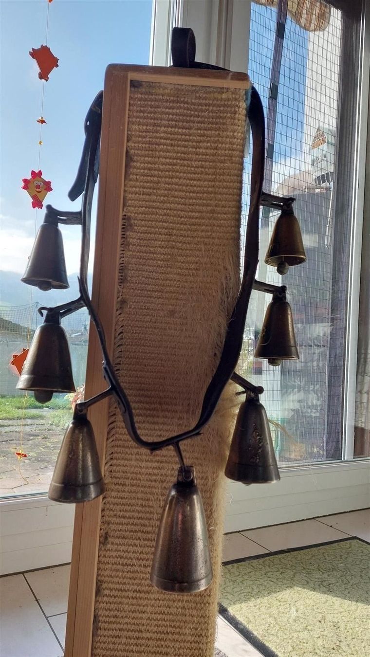 Cloches & sonnailles: Pferdegeschell mit 7 Glocken – D'occasion à Ebnat-Kappel par sentira 5