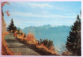 Rigi, Kaltbadweg mit Blick in die Alpen