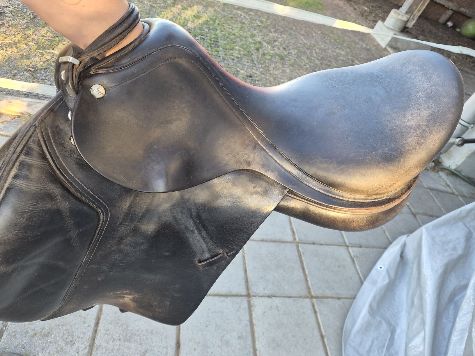 Selle & Accessori: Equipe Sattel - La Belle – Usato da Lengnau BE venduto da DyingQueen 1