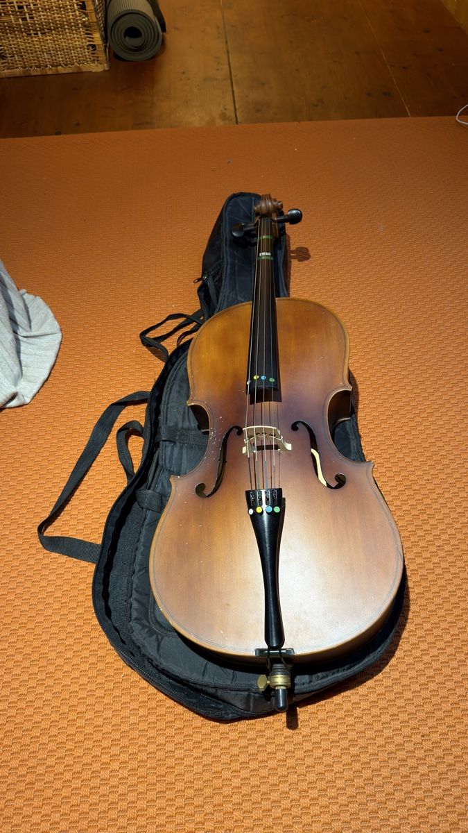 Strumenti musicali: Violoncello Steinbach 1/4 – Usato da Roveredo GR venduto da Obama_Michelle