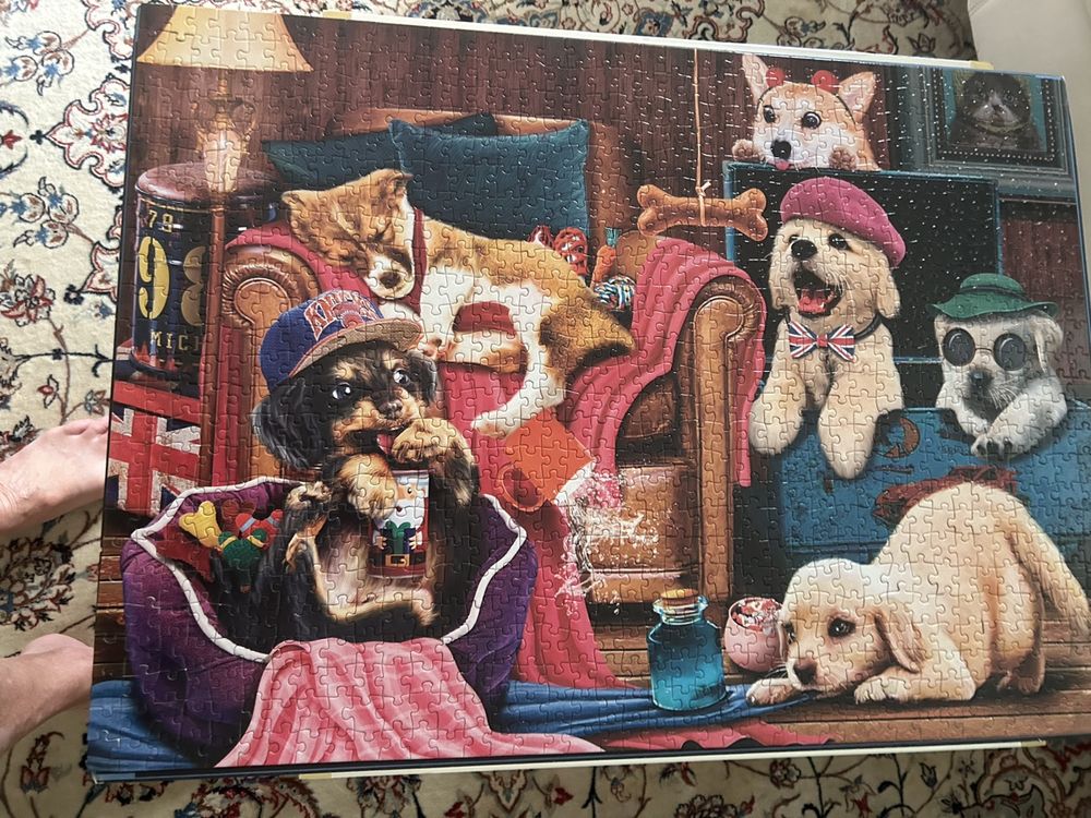 HANSEPUZZLE Hund Puzzle – 500 Teile, 46x30 Cm, Mit Aufbewahrungsbeutel, Tierwelt Motiv