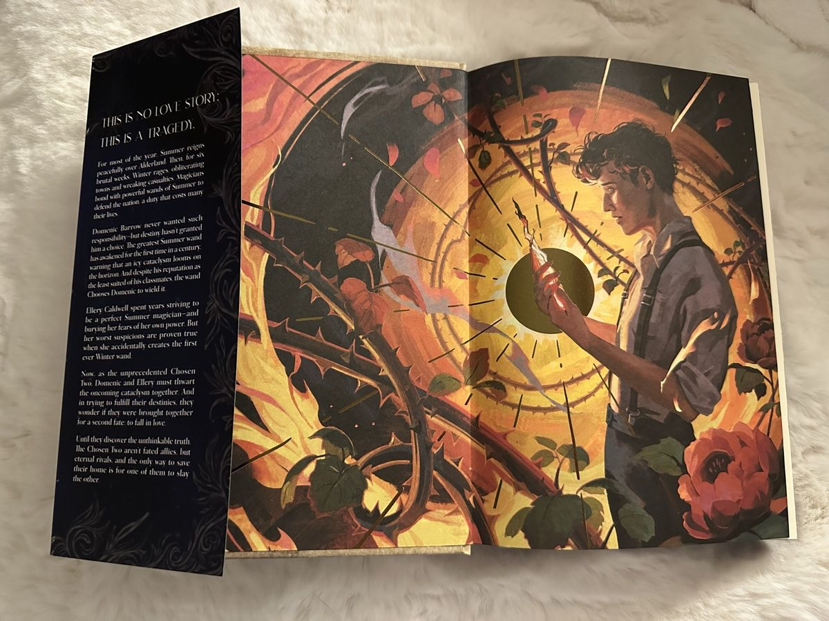 Bücher: Owlcrate Dezember 2025 – Neu (gemäss Beschreibung) aus Toffen von Yulieboo 3