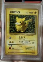1996 P.M. JAPANESE PROMO IVY PIKACHU-GLOSSY COROCORO COMICS