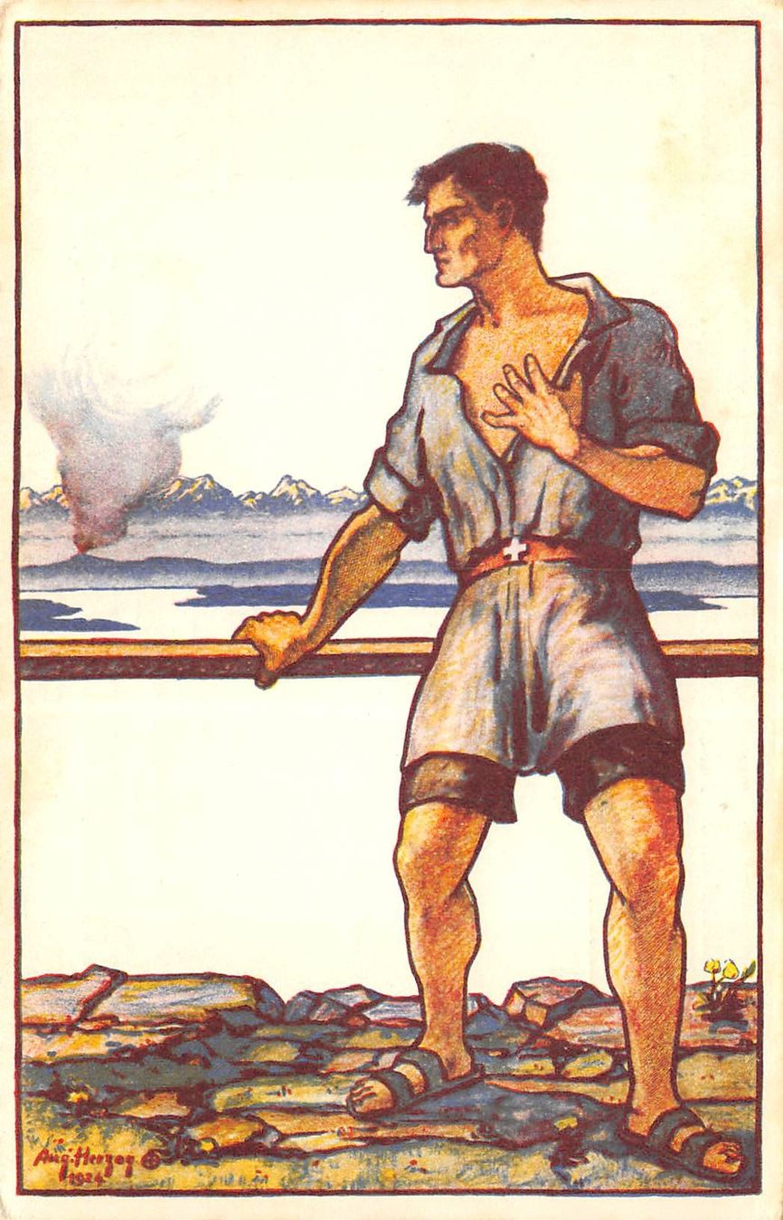 Tutti i francobolli: Bundesfeierkarte 1924, Auslandschweizer – Usato da Ottikon b.Kemptth. venduto da Neptun1974