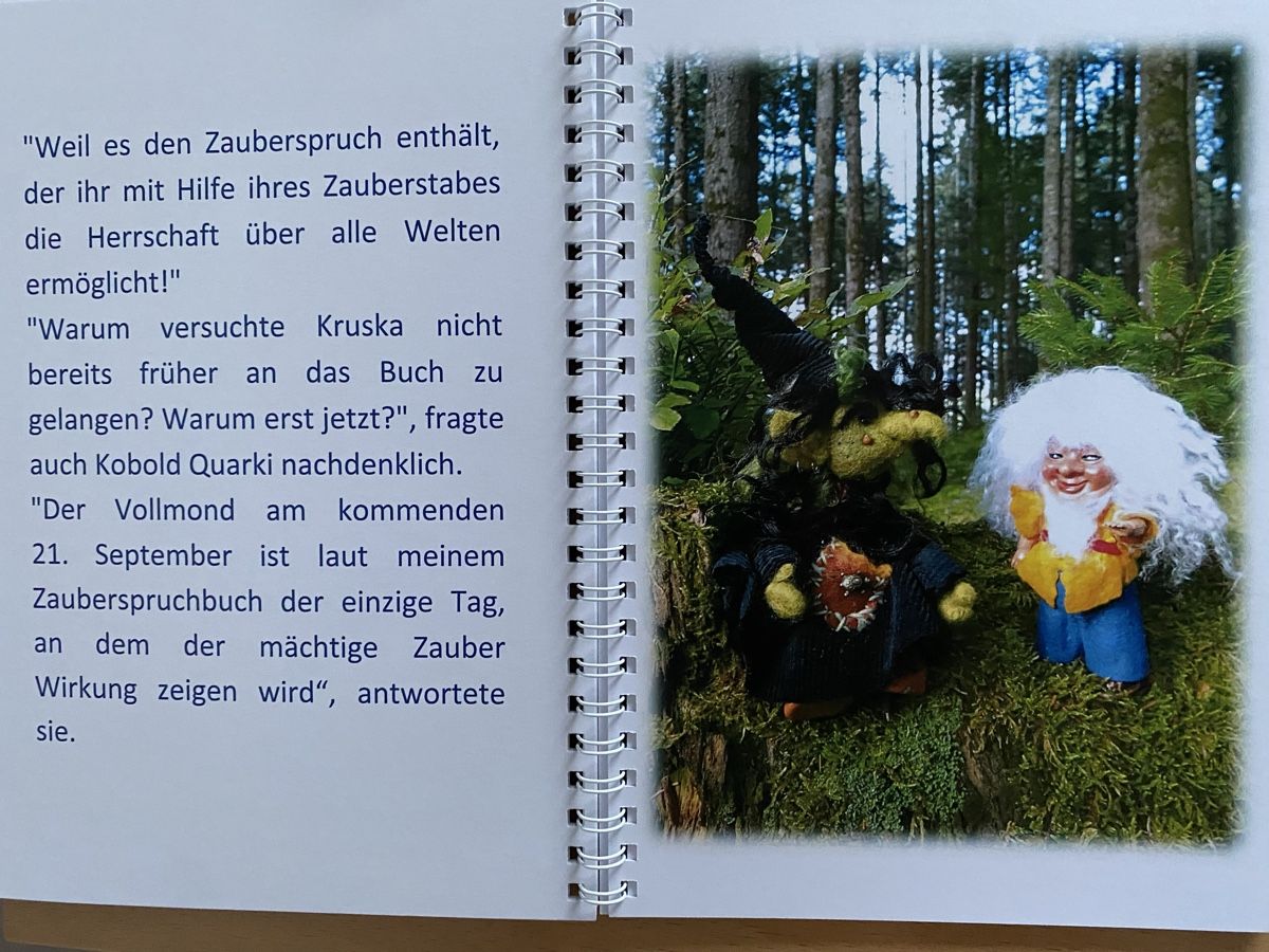 Libri: 10 Märchen über Elfen - Damaiania – Usato da Schwarzenburg venduto da Michellu 6