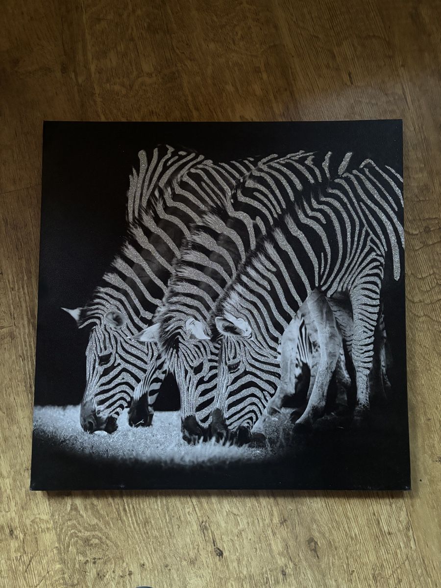 Poster & Bilder: Zebra Glitzer Bild – Gebraucht aus Burgistein von Cross_over 1