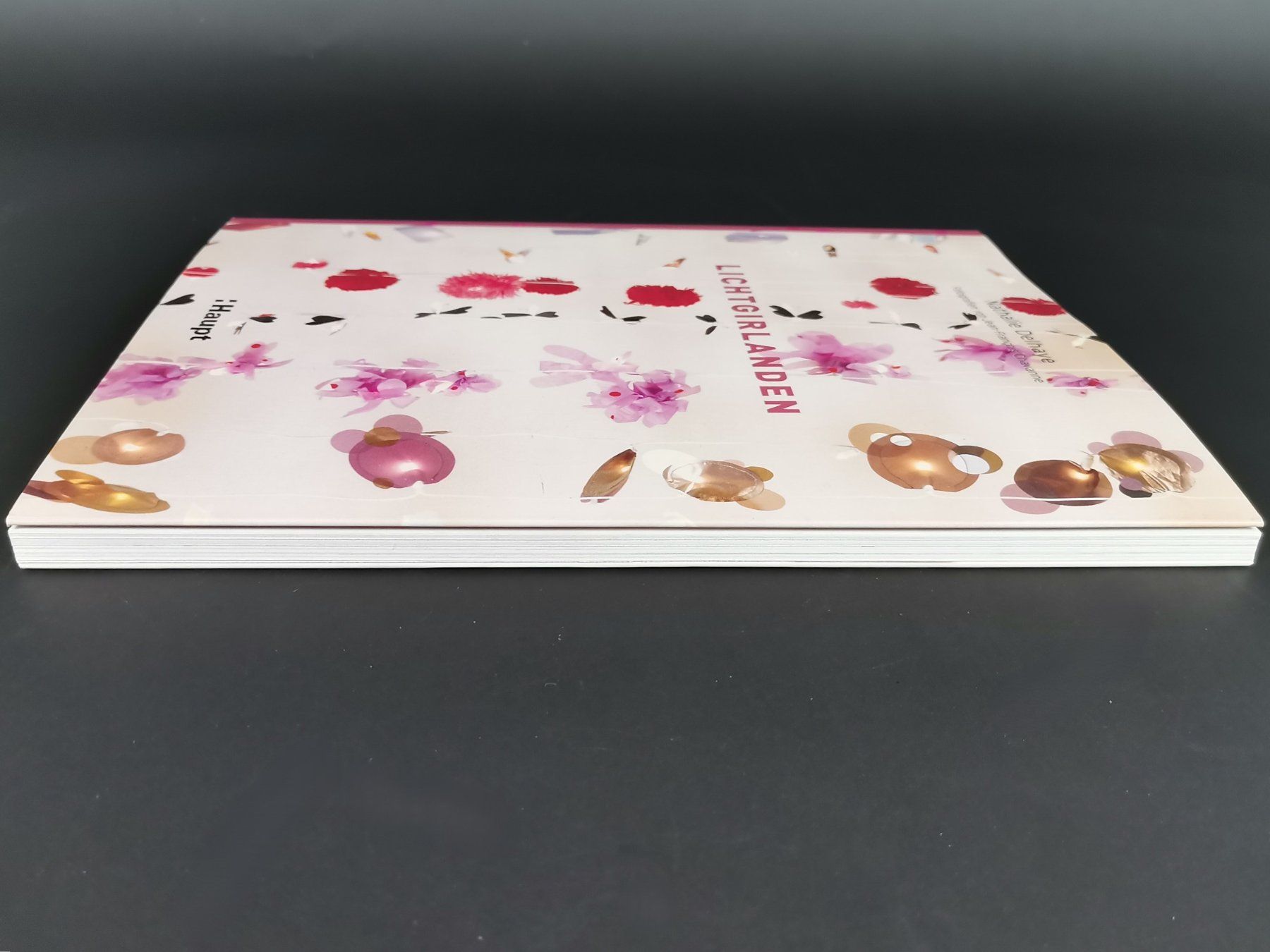 Libri: BUCH Lichtgirlanden – Usato da Schaffhausen venduto da Restwert_SH 4