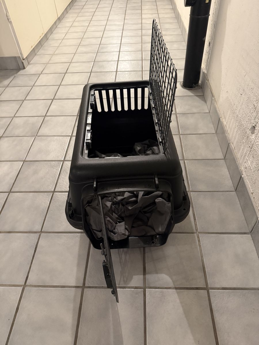 Cages, transport & sécurité: Hundebox  – D'occasion à Herisau par GK25