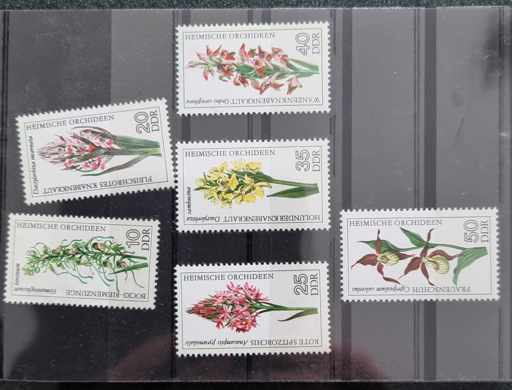 Tutti i francobolli: Diverse Briefmarken mit Orchideen-Motiven – Nuovo (secondo la descrizione) da Lostorf venduto da Dalbi 1