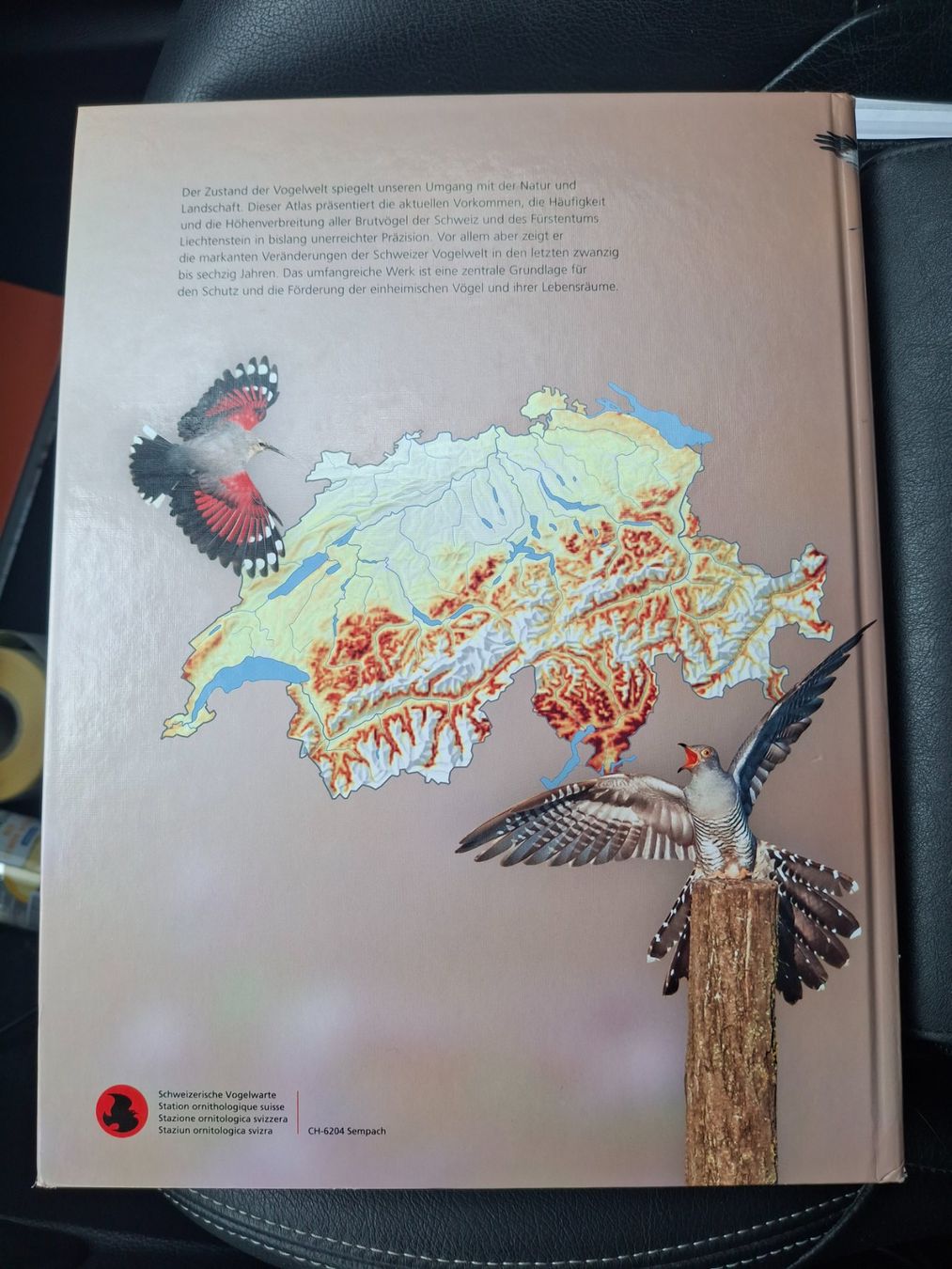 Libri: Schweizer Brutvogelatlas 2013-2016 - ! – Usato da Horriwil venduto da TOKYONIGHTS 1