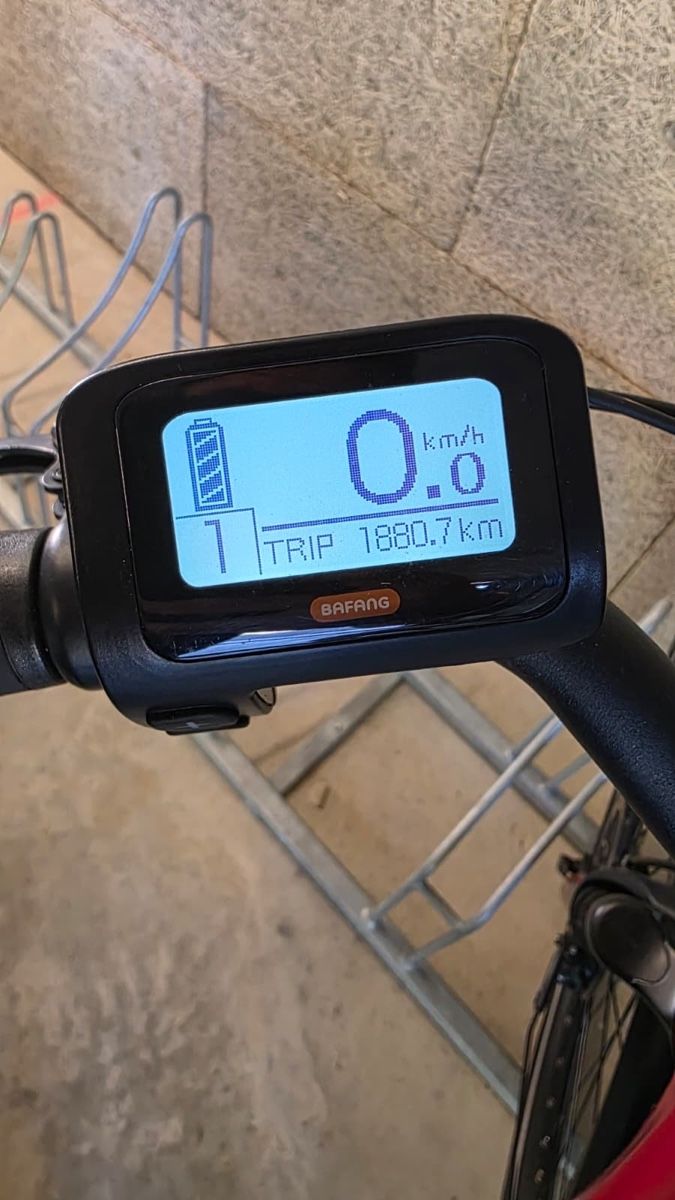 Biciclette: Elektro Bike - Allegro Elegance ACU 03 Rot 48 cm – Usato da Zollikofen venduto da Winchester 4