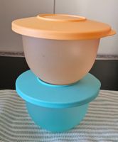 Aqua Dessertschalen