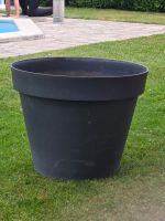 pot de fleurs